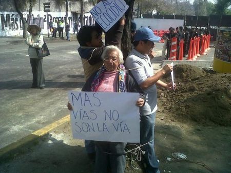 Residents defend trees http://lockerz.com/s/164059324