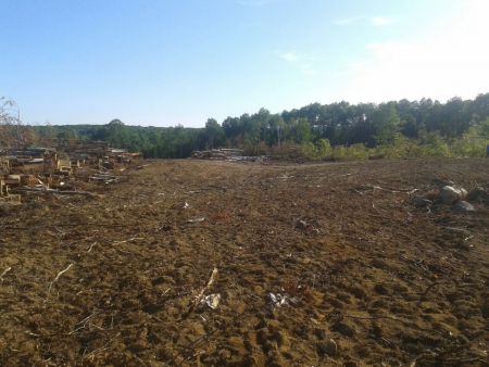 Stop the clear-cutting at Poigan in Laverendrye Park