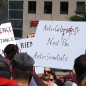 Palestine-Solidarity: Who Are They and What Are they Saying? (A collection of Banners - Aug.10)