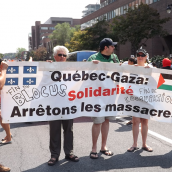 Palestine-Solidarity: Who Are They and What Are they Saying? (A collection of Banners - Aug.10)