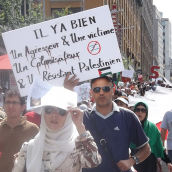 Palestine-Solidarity: Who Are They and What Are they Saying? (A collection of Banners - Aug.10)