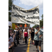 Palestine-Solidarity: Who Are They and What Are they Saying? (A collection of Banners - Aug.10)