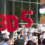 Palestine-Solidarity: Who Are They and What Are they Saying? (A collection of Banners - Aug.10)