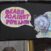 Strong and Stand United : solidarité dans les rues de soi-disant «Montréal» avec Standing Rock