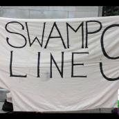 SWAMPLINE9