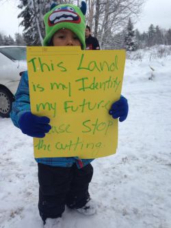 Les Algonquins de Lac Barrière ont mis un frein aux opérations forestières non autorisées sur leur territoire jusqu’à ce que les accords soient respectés